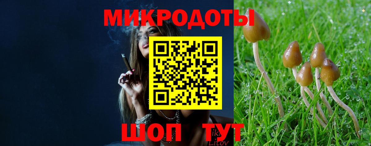 Псилоцибиновые грибы ЛСД  Вход с VPN  сколько стоит  Павловский Посад 