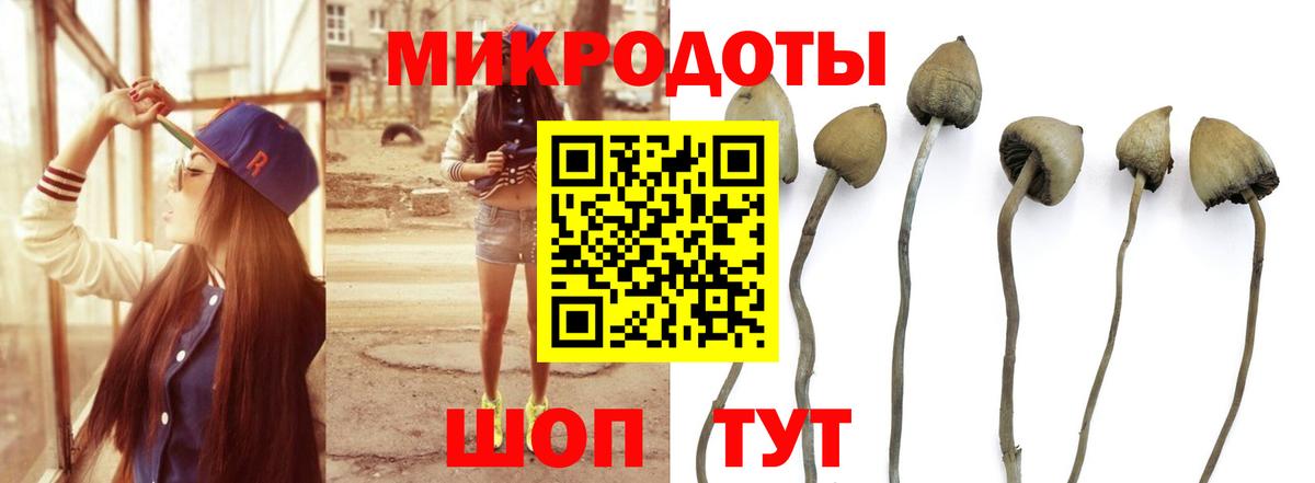 Псилоцибиновые грибы MAGIC MUSHROOMS Павловский Посад